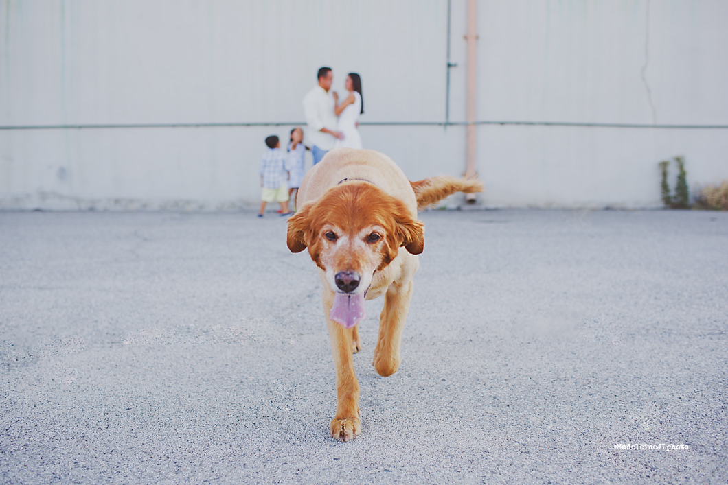 Urban fun and playful family and kids photographer OC | Orange Countys favorite family photographer Madeleine JL Photography